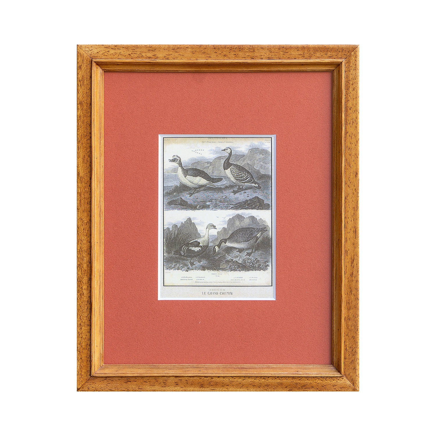 VARIOUS FRAME POSTCARD NOTEWORKS