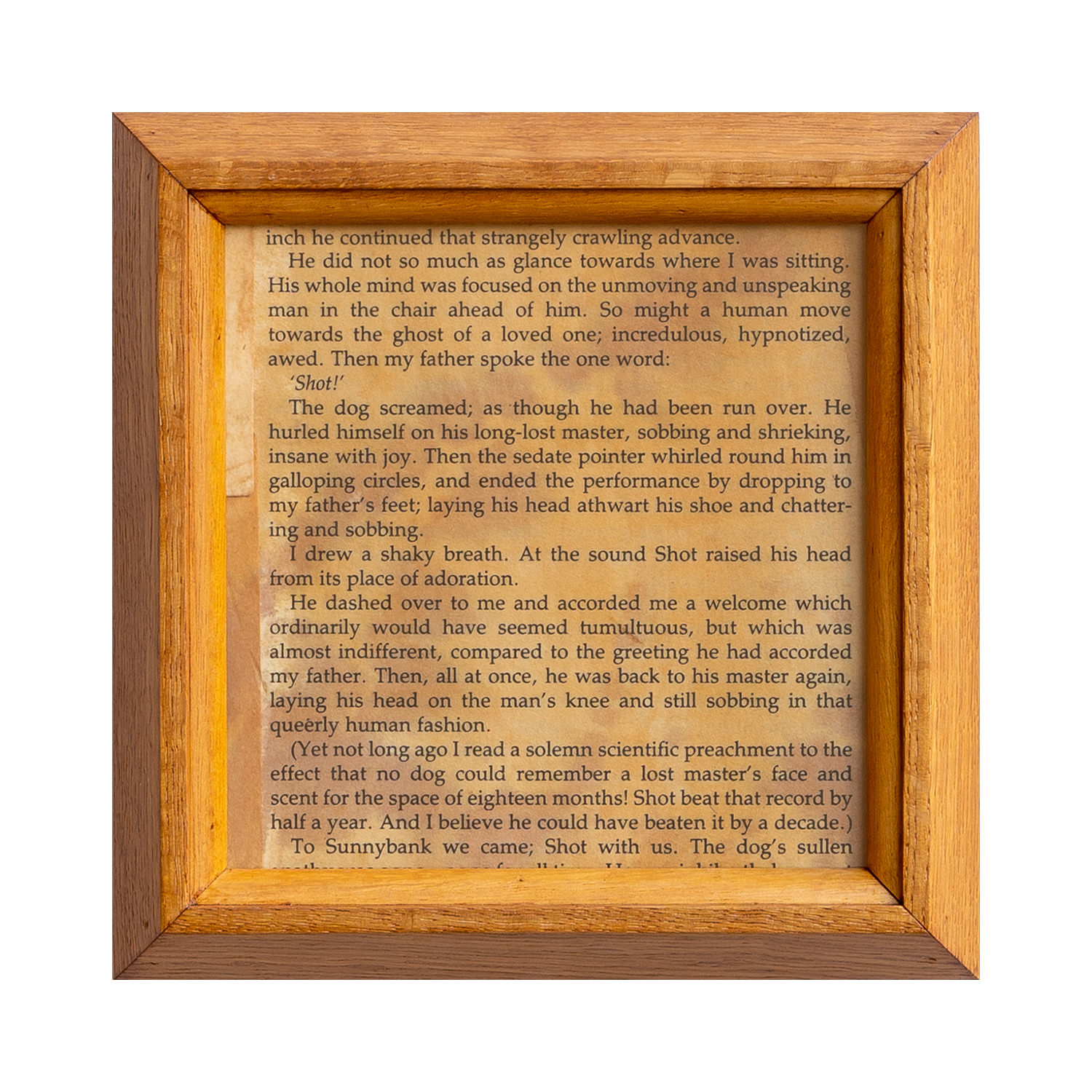 VARIOUS FRAME CD NOTEWORKS